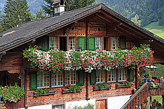 瑞士,阿尔卑斯山,伯恩高地,劳特布龙嫩,乡村,房子