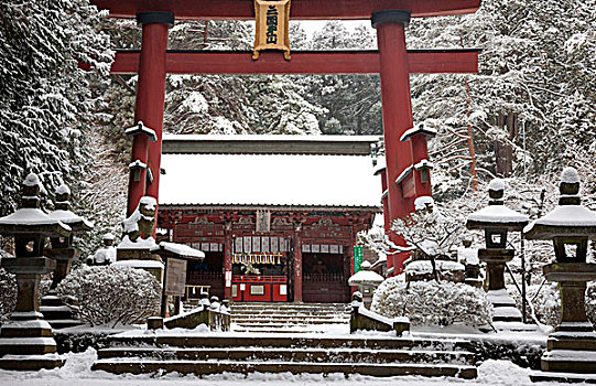 雪,院落,佛教寺庙,长野,日本