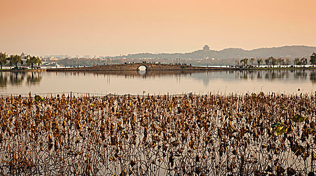 西湖风光