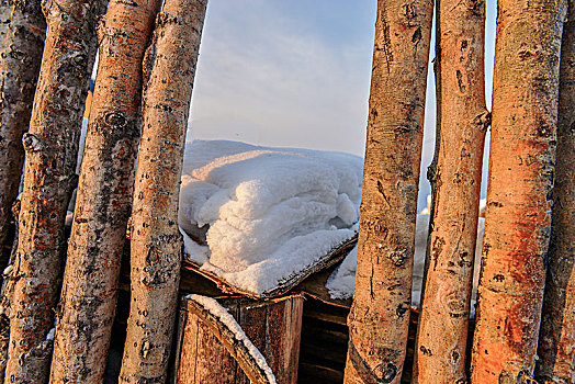 漠河雪景