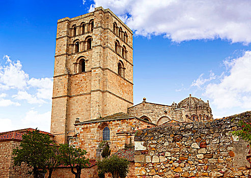 萨莫拉,大教堂,西班牙