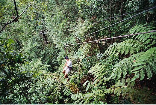 男人,绳降,线,树林,棉兰老岛,菲律宾