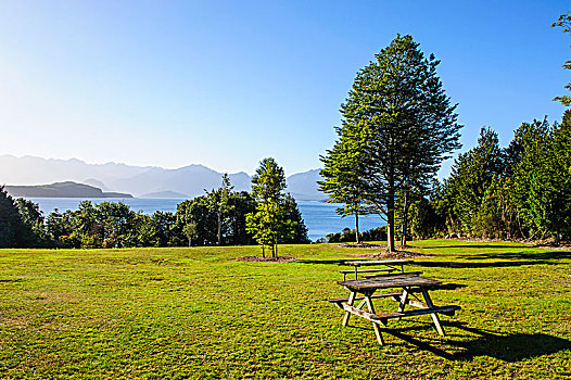 野餐,桌子,草坪,高处,湖,南岛,新西兰