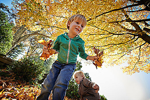 两个男孩,玩,树林,叶子
