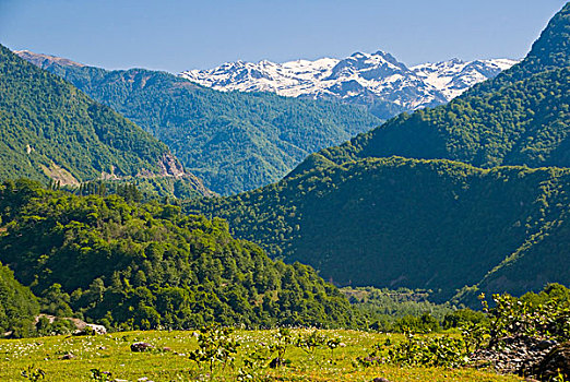 阿尔卑斯山,山,绿色,山谷,乔治亚
