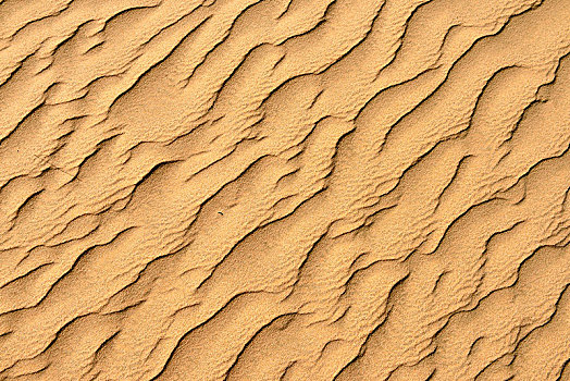 沙子,波纹,沙漠,阿曼,阿拉伯,亚洲