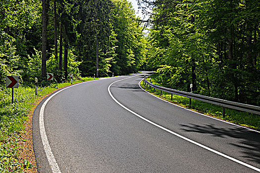 道路,春天,施佩萨特,巴伐利亚,德国