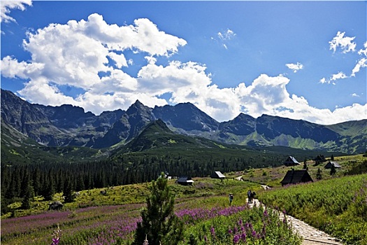 风景,漂亮,山谷,波兰