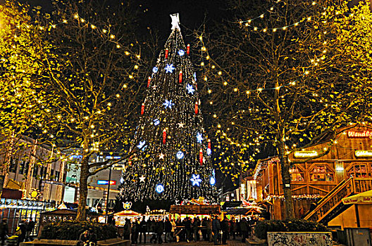 圣诞节,树,市场,多特蒙德,区域,北莱茵威斯特伐利亚,德国,欧洲