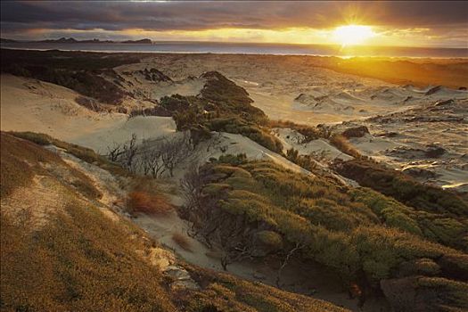 日落,沙丘,高处,海滩,国家公园,斯图尔特岛,新西兰