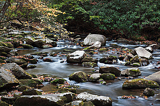 北卡罗来纳,大烟山国家公园,河,秋天