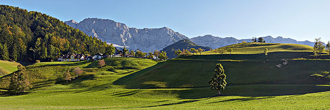 农场,靠近,山丘,背影,卡林西亚,奥地利,欧洲