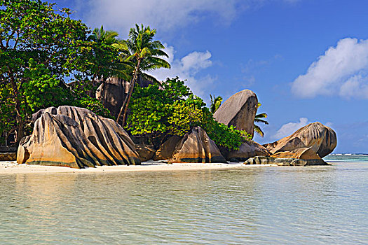 海滩,石头,棕榈树,拉迪格岛,塞舌尔,非洲