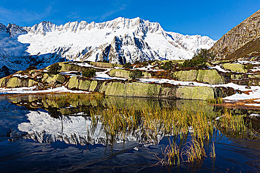 早,初冬,荒野,水塘,正面,秋天,阿尔卑斯山,山谷,瑞士