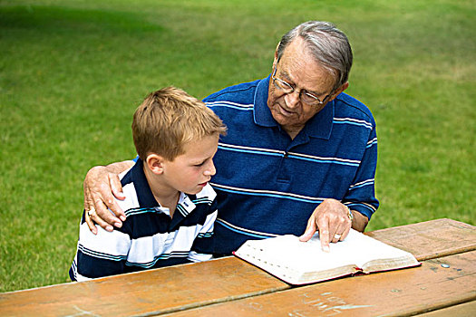 爷爷,孙子,读,圣经