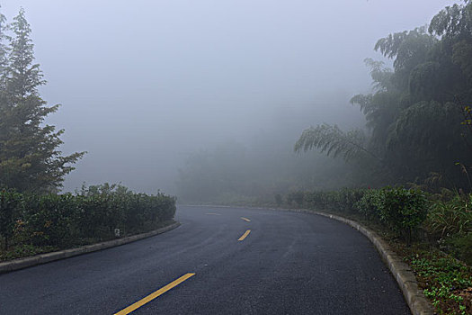 浓雾道路