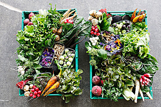 两个,蔬菜,板条箱,有机,莴苣,风景,俯视