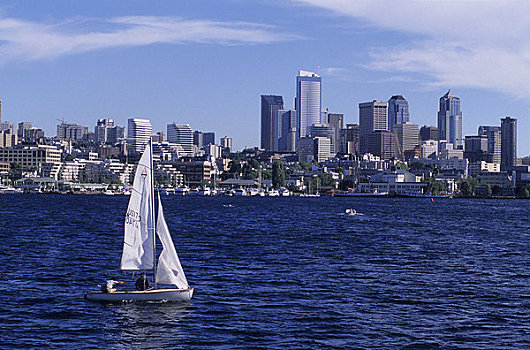 美国,华盛顿,西雅图,湖,联合,天际线,背景,帆船