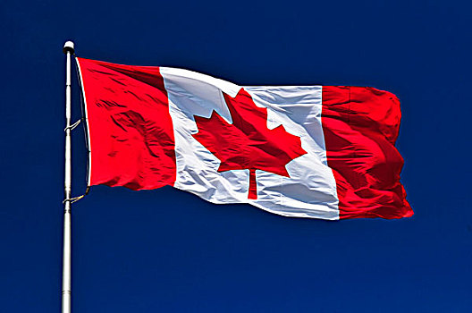 旗帜,加拿大,摆动,风,蓝色背景,天空,背景