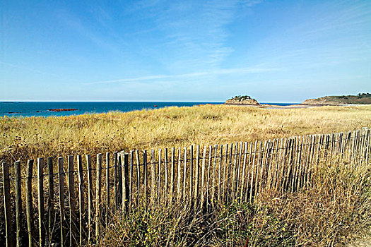 海滩,木篱,海洋,草,布列塔尼半岛,法国