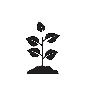 植物,象征,标识,设计