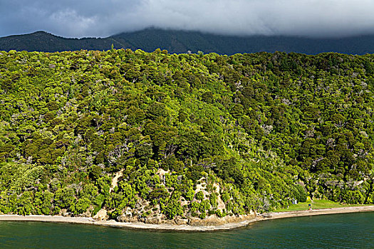 水道,山峦,声音,皮克顿,马尔伯勒,南岛,新西兰