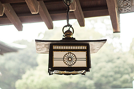 悬挂,油灯,寺庙,东京