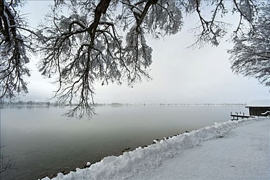 船库,湖岸,科赫尔湖,冬天,巴伐利亚,德国