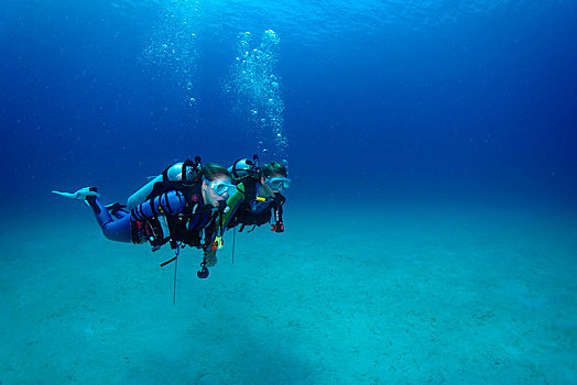 潜水,水下,南海,菲律宾,亚洲
