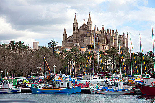 捕鱼,船,港口,大教堂,帕尔玛,背影,古城区,马略卡岛,巴利阿里群岛,西班牙,欧洲