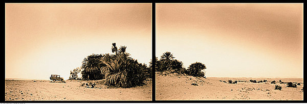 撒哈拉沙漠,埃及