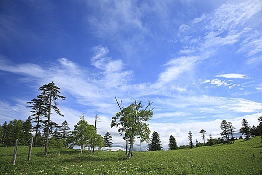 高原,天空,阿寒国家公园