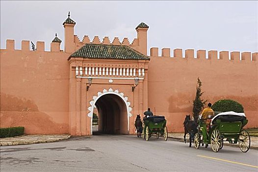 马车,皇宫,玛拉喀什,摩洛哥