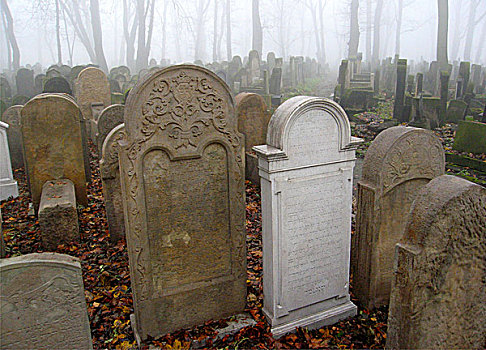 犹太,墓地,地区,克拉科夫,波兰