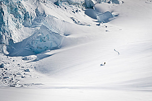 背包族,滑雪,粉末,冰河,冬天,阿拉斯加
