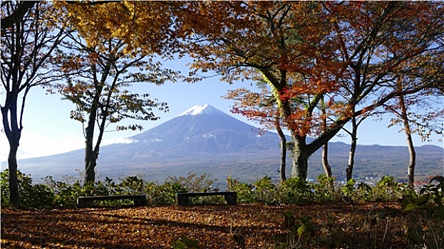 富士山,樱花,湖,效用,使用