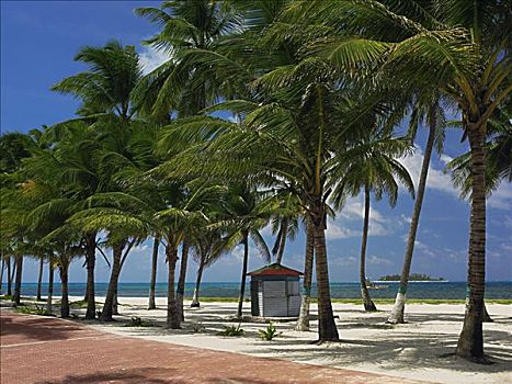 海滩小屋,海边,海滩,圣安德烈斯岛,哥伦比亚