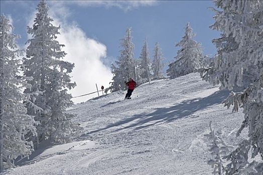 滑雪者,冬天,风景
