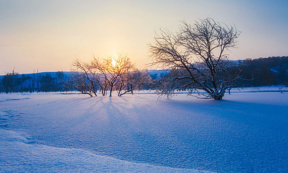 雪景