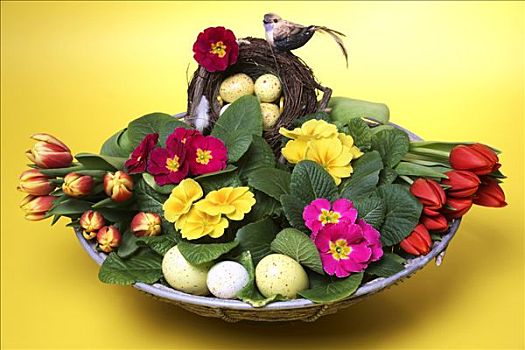 器具,郁金香,樱草花,复活节彩蛋