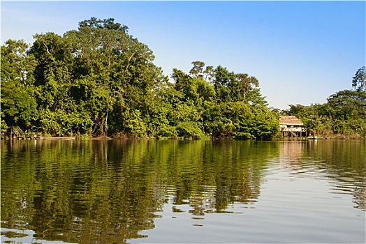 秘鲁,亚马逊,风景,照片,展示,特色,部落,住宅区,亚马逊河