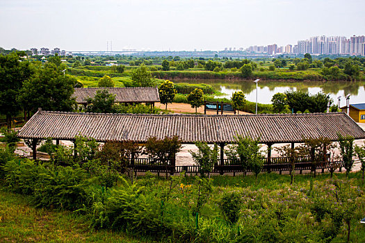 渭河湿地