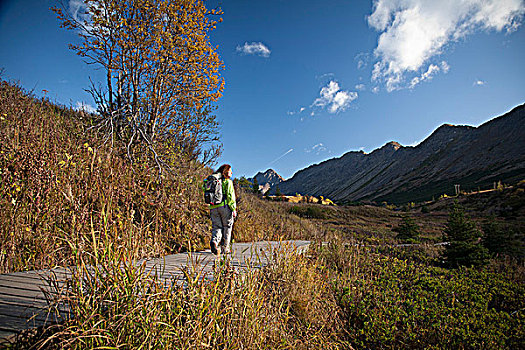 女人,远足者,阿尔卑斯山,区域,楚加奇州立公园,远足,湖,球场,小路,楚加奇山,阿拉斯加,秋天