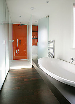 淋浴,小间,浴缸,现代,浴室
