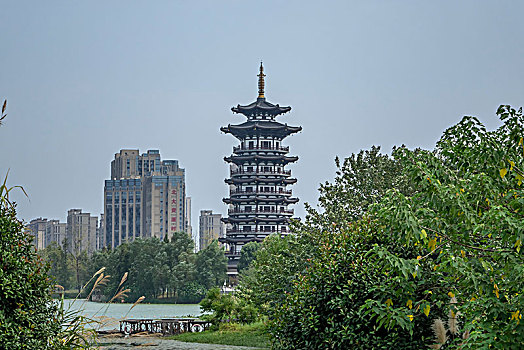 长沙洋湖湿地风光,秋色,秋景