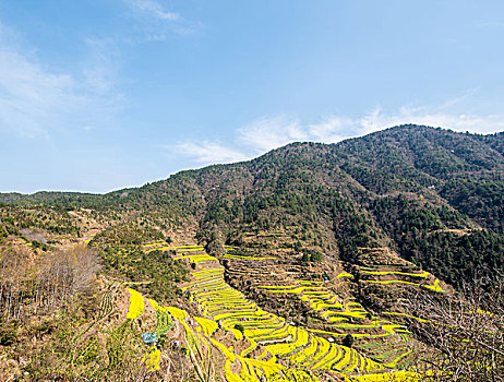 航拍梯田