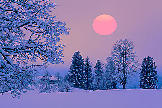 冬季风景,日落
