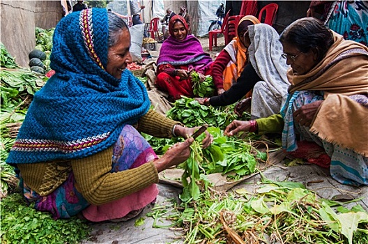 乡村,印第安女人,切,蔬菜