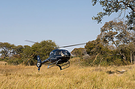 直升飞机,转移,露营,卡富埃国家公园,赞比亚,非洲