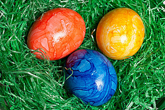 色彩,复活节彩蛋,鸟窝